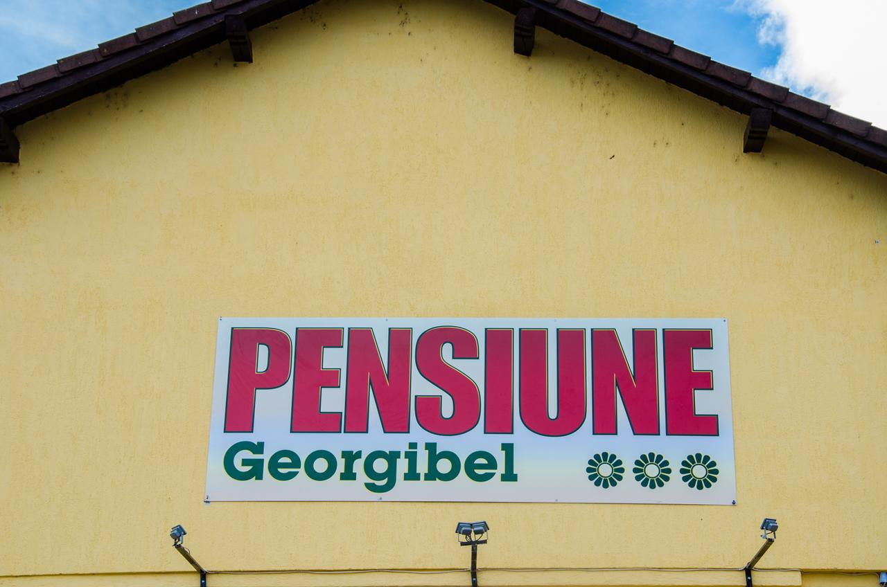 Pensiunea Georgibel Дева Екстер'єр фото
